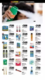 Catálogo Diarco semana 43 Página 11: Raid - insecticida azul mmm x 380 ml. cód:5730 €4.709,92