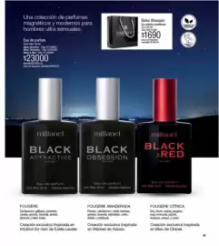 Catálogo Millanel Cosmética Página 41