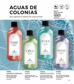 Catálogo Millanel Cosmética Página 47