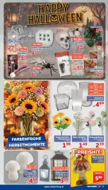 Center Shop Flugblatt woche 42 Seite 5: Glasvasen €4,69, Sonnenblumen- Pflanzenrispe €1,99