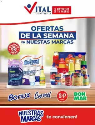Supermayorista Vital (válido hasta 25-10)