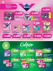 Catálogo Supermayorista Vital semana 43 Página 8: Nosotras protectores diarios largos €6.299,00