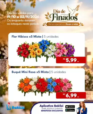 Catálogo Supermercados Baklizi (válido até 2-11)
