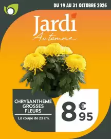 Catalogue Point Vert page 3: Chrysanthème grosses fleurs €8,95