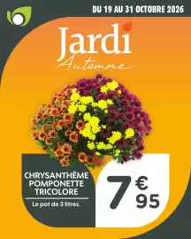 Catalogue Point Vert page 6: Chrysanthème pomponette tricolore €7,95
