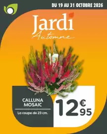 Catalogue Point Vert page 7: Calluna mosaic €12,95