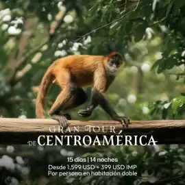 Catálogo Mega Travel Página 1