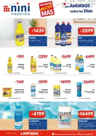 Catálogo Nini Mayorista semana 43 Página 11: Ayudin lavandina frag. €5.699,00, Newclor cloro pastillas €14.999,00