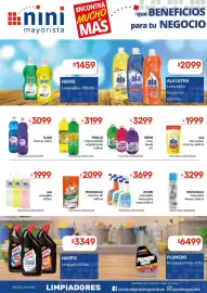 Catálogo Nini Mayorista semana 43 Página 15: Pinoluz limp.liqu. botella original/limón €3.199,00