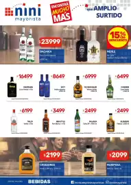 Catálogo Nini Mayorista semana 43 Página 22: Skyy vodka sabores €8.649,00, Blenders petaca €2.499,00