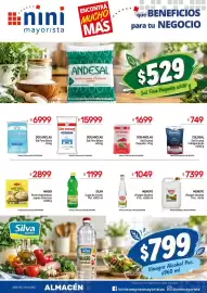 Catálogo Nini Mayorista semana 43 Página 24: Menoyo vinagre alcohol €7.399,00, Dos anclas sal gruesa €1.699.000,00