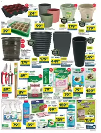 Pick n Pay catalogue Page 3: Efekto No Insect Cockroach Assorted €79,99, ADDIS 3-Piece 26cm Mocha Pots and Saucer Set €179,99