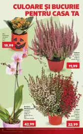 Catalog Kaufland săptămâna 43 Pagină 16