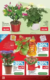 Catalog Kaufland săptămâna 43 Pagină 17