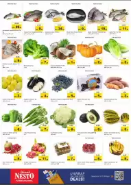 Nesto catalogue Page 4