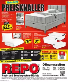 Repo Markt Prospekt woche 45 Seite 7