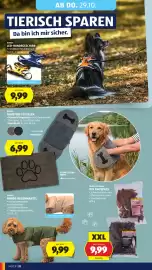 Hofer Flugblatt woche 43 Seite 42: Romeo Hunde-Regenmantel €9,99, Romeo Premium XXL Kauspass €9,99