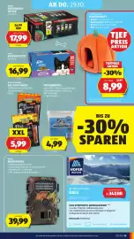 Hofer Flugblatt woche 43 Seite 43: Rollei Wildkamera €39,99, Romeo Premium XXL Filet Snack €5,99