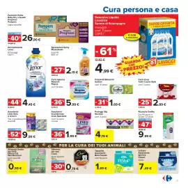 Volantino Carrefour Pagina 31: Sgrassatore Spray Mastrolindo €2,19, Alimento per cani Cesar €0,79