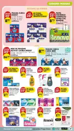 Folheto Pingo Doce semana 43 Página 39: Fralda cueca cuida bebé €8,79, Cueca de incontinência ausonia discreet €7,49