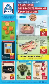 Catalogue ALDI semaine 44 page 1: GOLDEN SEAFOOD 5 PANÉS DE POISSON €2,75, GARDENLINE GROS CHRYSANTHÈME €3,99