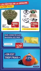 Catalogue ALDI semaine 44 page 2: TOYLINO KIT VÉTÉRINAIRE €12,99, GARDENLINE GROS CHRYSANTHÈME €3,99