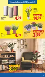 Catálogo Lidl semana 44 Página 29