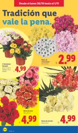 Catálogo Lidl semana 44 Página 48: Ramo de claveles €4,99, Crisantemos bouquet €4,99
