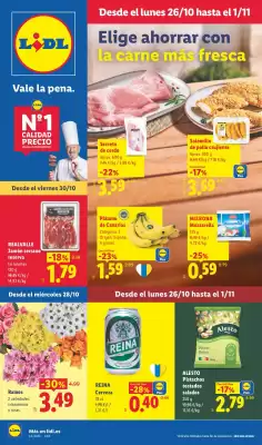 Catálogo Lidl (válido hasta el 1-11)