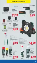 Catálogo Lidl | Bazar Página 31: Parkside quitamanchas antimoho €4,49, Parkside spray lubricante €2,49