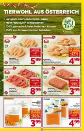 Billa Flugblatt woche 43 Seite 7: Hofstädter »Fair zum Tier!« mageres Faschiertes €3,99
