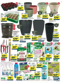 Pick n Pay Hypermarket catalogue Page 3: Efekto No Insect Cockroach Assorted €79,99, The Pot Story Rib Pot Medium €179,99