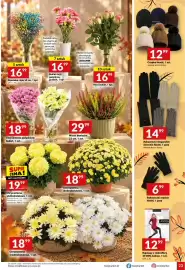 Twój Market gazetka tydzień 43 Strona 23: Czapka Noviti €12,99, Rękawiczki eleganckie damskie Noviti €14,99