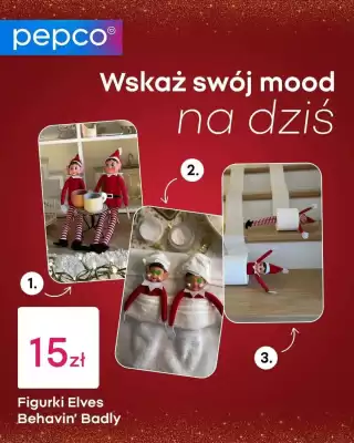 Pepco gazetka (ważność do 3-11)