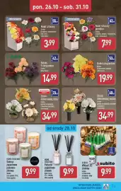 ALDI gazetka | Artykuły przemysłowe i tekstylia Strona 5: Kwiat sztuczny premium €7,99, Stroik dekorowany, wazon €34,99