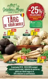 Catalog Mega Image săptămâna 43 Pagină 6: Mega rădăcină păstârnac €4,49, Mega rădăcină pătrunjel €3,89