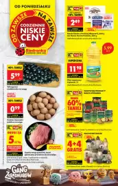 Biedronka gazetka tydzień 43 Strona 1