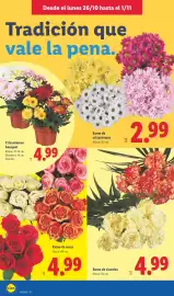 Catálogo Lidl semana 44 Página 48