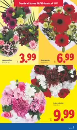 Catálogo Lidl semana 44 Página 49