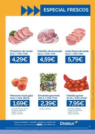 Folleto Dialsur Cash & Carry semana 43 Página 2: Lomo fresco de cerdo €5,79, Gala - manzana royal €1,69