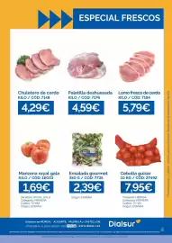 Folleto Dialsur Cash & Carry semana 43 Página 2: Lomo fresco de cerdo €5,79, Gala - manzana royal €1,69