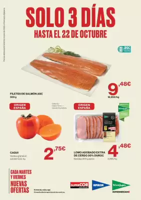 El Corte Inglés (válido hasta el 22-10)