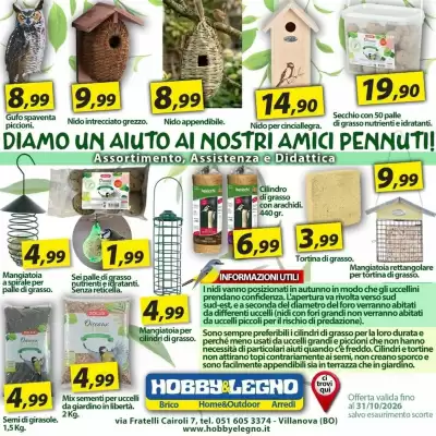 Hobby e Legno (valido fino al 31-10)