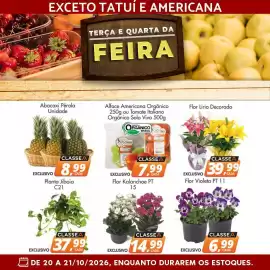 Catálogo Delta Supermercados Página 7