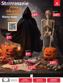 Selgros gazetka Strona 11: Wiaderko na słodycze €5,99, Peleryna z kapturem €34,90