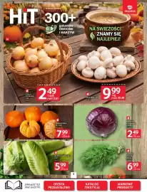 Selgros gazetka Strona 3: Kapusta czerwona luzem €2,61, Mandarynki kl. I luzem €8,39