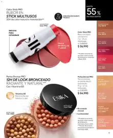 Catálogo Ésika Página 91: Color Stick PRO €36.990,00