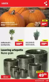 Bauhaus tilbudsavis Side 6: Nuno grøn €49,95, Schefflera Nora €149,95