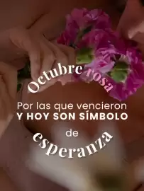 Catálogo Fajitex semana 43 Página 1