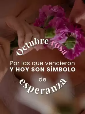 Fajitex (válido hasta 26-10)